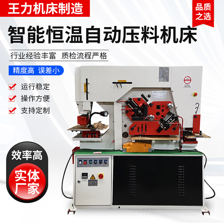 智能恒温自动压料机床 王力机床
